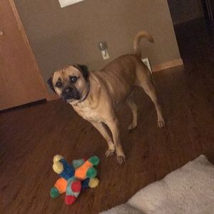 Meet your Posher, Megan